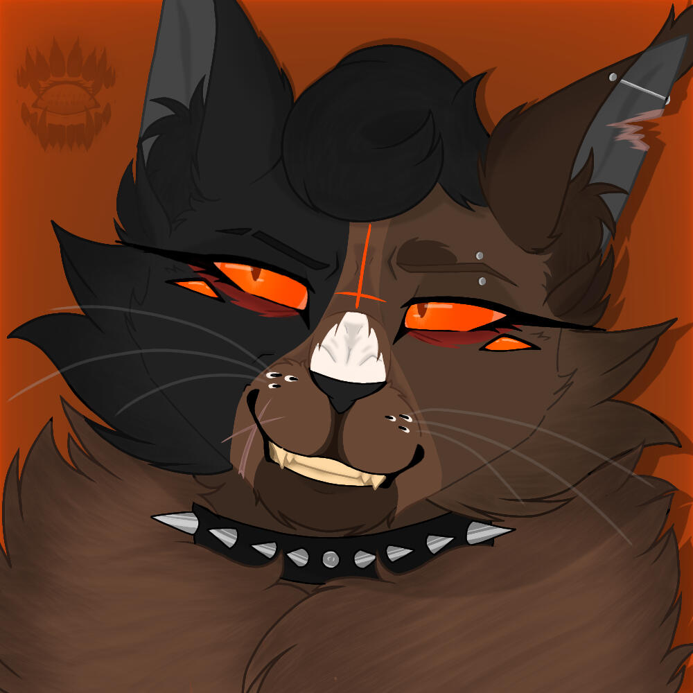 Headshot Abry